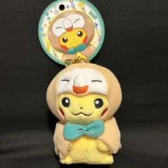 2026年最新】モクローポンチョピカチュウの人気アイテム - メルカリ