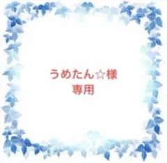 うめたん☆様　専用