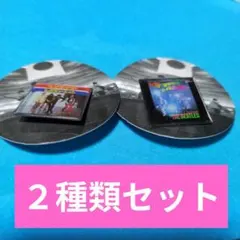 ⑨THE BEATLES ピンズコレクションVOL1（２種類セット）