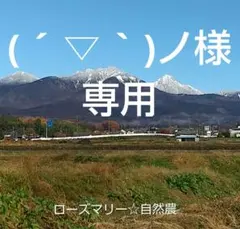 ( ´ ▽ ` )ノ様専用