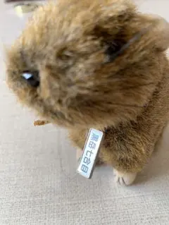 Item thumbnail for item bfa6060c-8520-466a-a851-61c2559f3364