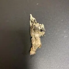 Item thumbnail for item dcf8b1cc-b6c5-46a4-9bbb-0fcac596e812