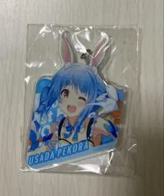 ホロライブ ノンストップストーリー アクリルキーホルダー 全種 ホロライブ ノンストップストーリー アクリルキーホルダー 全種