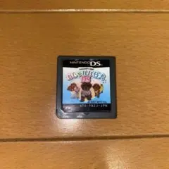 おしゃれな仔犬 DSソフト