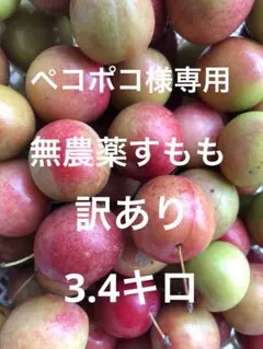 ペコポコ様専用　無農薬すもも　訳あり　3.4キロ