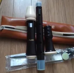 Item thumbnail for item 7478806b-b6c1-4568-adb9-5ccae91bdb9d