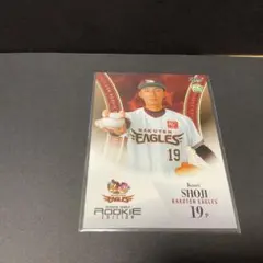 Item thumbnail for item cae2f227-3e5b-45cf-a8cd-d813dc7ac492