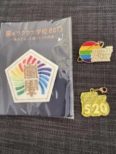 嵐　嵐のワクワク学校　ピンバッジ