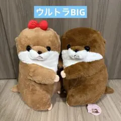 くったりカワウソの赤ちゃんハグハグ2ウルトラBIG 2種セット - メルカリ