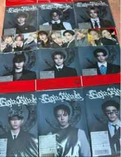 &TEAM 月狼 9形態セット+トレカ9枚