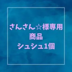 さんさん☆様専用 シュシュ1個