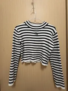 ems excite（エムズエキサイト）のフロント刺繍ボーダーニット