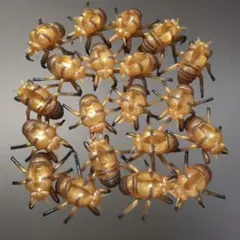 セミの抜け殻　ミニフィギュア　40体 2026年最新】セミの抜け殻 フィギュアの人気アイテム - メルカリ