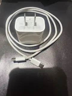純正品 Apple 20W USB-C充電器と編み込み式ケーブルセット