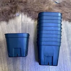 2026年最新】プレステラ 90の人気アイテム - メルカリ