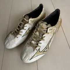 【クリーニング済み】Mizuno Alpha Pro 26CM
