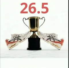 アイルトンセナ　限定品　アシックス GEL-Gel-Kayano 26.5cm