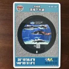 Item thumbnail for item 6a1c85b9-fd49-4366-a47d-6afbf0b96c9e