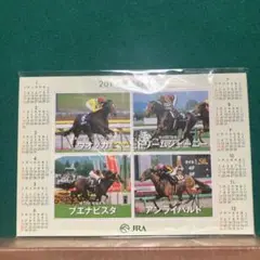 非売品 JRA 2010年 競走馬 マグネットフォトフレーム