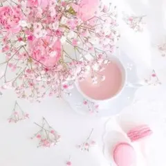 確認用です。◕‿◕。