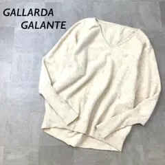 【とろとろカシミア100％】GALLARDAGALANTE Vネック ニット