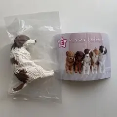 user_557147d5様 リクエスト 2点 まとめ商品