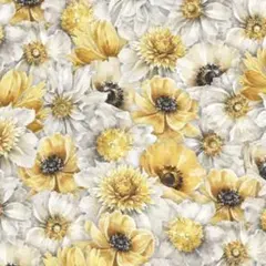 輸入生地　USAコットン(FIELDS OF GOLD )