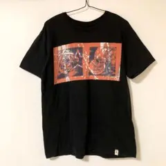 PUSHEAD ALTAMONT Tシャツ Mサイズ パスヘッド