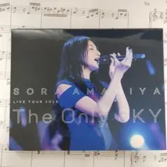 雨宮天/ライブツアー2018\"The Only SKY\"