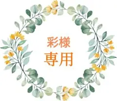 彩様 リクエスト 2点 まとめ商品