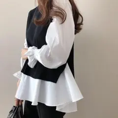ベスト付きブラウス　ゆったりサイズ　2枚セット