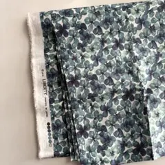 リバティ ケイティアン 2m