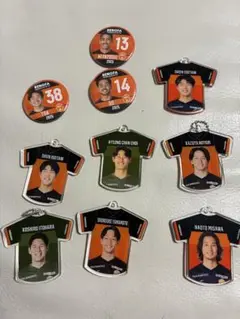 レノファ山口FC 缶バッチ　アクリルキーホルダー 欲しい選手をコメントまで