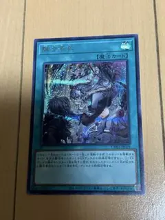 2026年最新】遊戯王 融合派兵 シークレットの人気アイテム - メルカリ