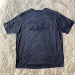 Patagonia キャプリーン クールデイリー Tシャツ L