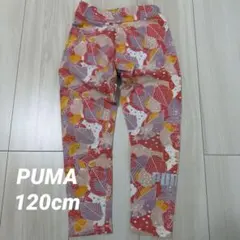 PUMA キッズ レギンス 120cm