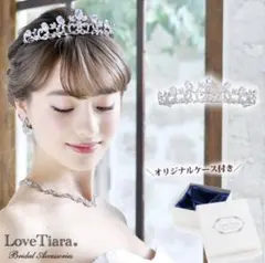 Item thumbnail for item ca336893-3f3d-459f-b8d3-c7e8e3f514e1