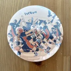 ハイキュー 烏野高校 ホログラム コレクション 缶バッジ　レア