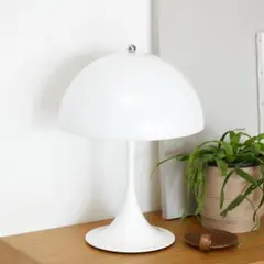 PANTHELLA 250 ポータブルランプ OPAL WHITE　(箱あり)