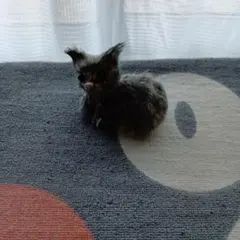 手作り グレーのファー ぬいぐるみ 約10cm