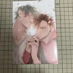 創刊30周年記念 麗人展 ポストカード 八百
