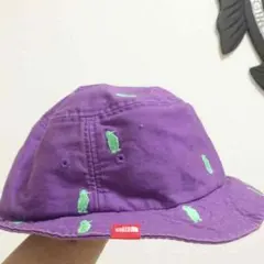 THE NORTH®FACEハット