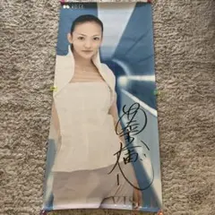 レア安室奈美恵ちゃん のサイン入りサンプル版 激レア 安室奈美恵さん 未使用カード・交通安全カード等4枚