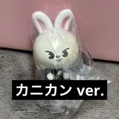 SKZOO つまんでつなげてますこっと でらっくす！ リービット