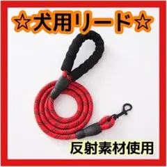 Item thumbnail for item 69d321ed-b96f-4bff-bce7-a25fc60bda81