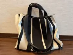 ZARA ザラ ストライプ柄 トートバッグ キャンバス地