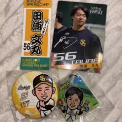 HAWKS 2025 田浦文丸 56 ステッカー 若鷹ガチャ セット