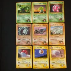 タケシのシリーズ+箱&取説/セミコンプリートセット ポケモンカード旧裏 初代ジムリーダー/コンプリートセット ポケモンカード旧裏