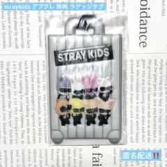 スキズ StrayKids RUN IT アプグレ 特典 ラゲッジタグ