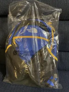 ザ ノースフェイス スモールデイ リュック ヒーローブルー 15L 新品のサムネイル